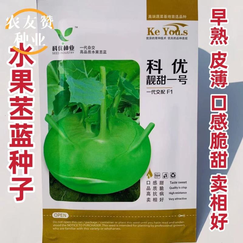 水果苤蓝种子靓甜一号青苤兰种子春秋两季早熟脆甜苤兰种籽