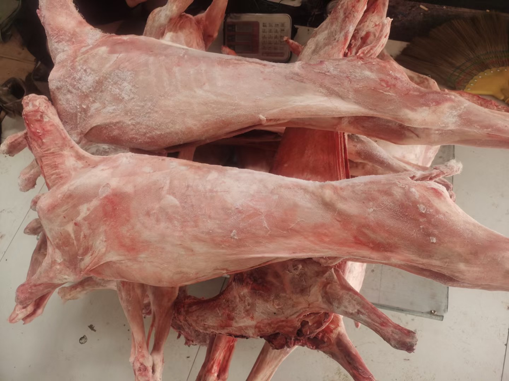 鲜白条羊整体展示图