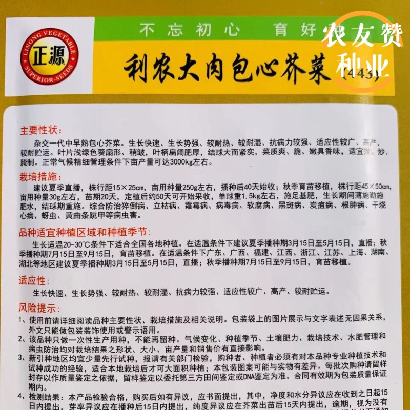 广东包心芥菜种子大肉芥菜球芥种籽腌制酸菜籽夏秋播大田蔬菜