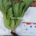 广东包心芥菜种子大肉芥菜球芥种籽腌制酸菜籽夏秋播大田蔬菜