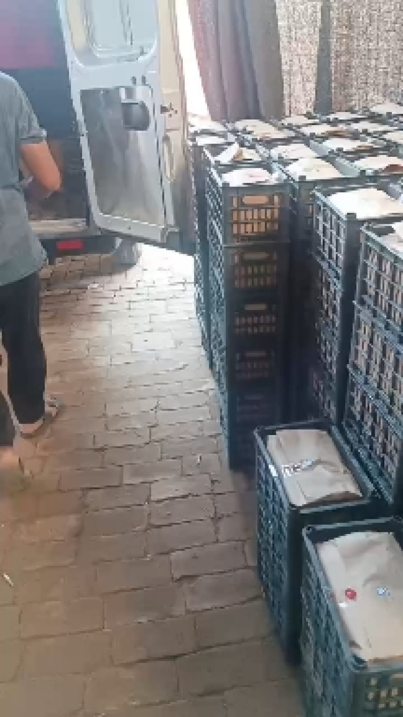 千禧圣女果