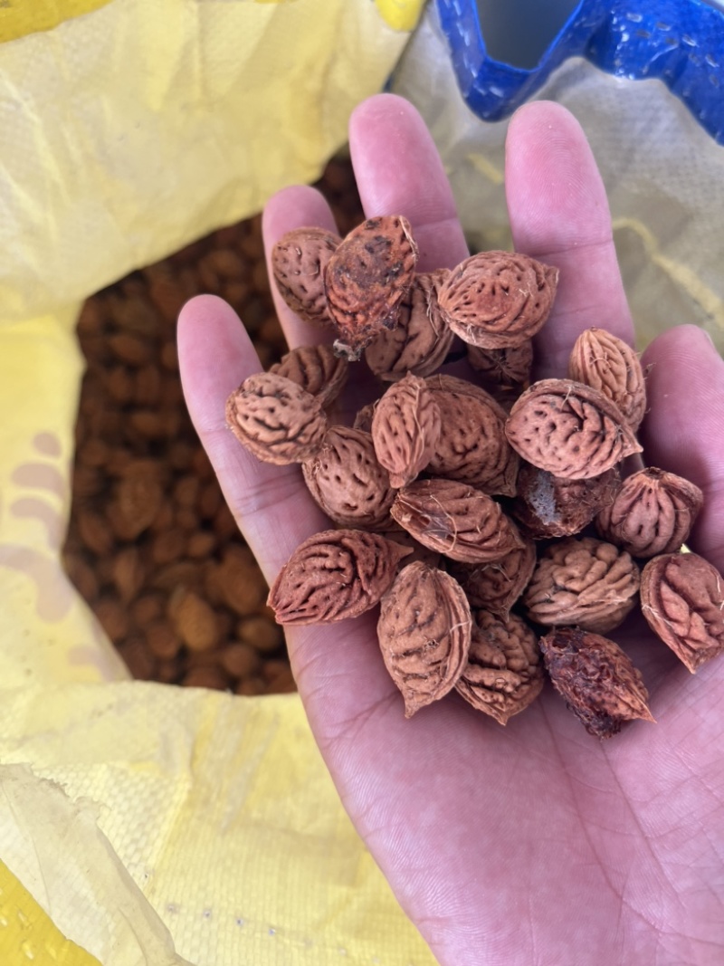 出售毛桃核，毛桃胡核小，每斤200个左右供毛桃芽