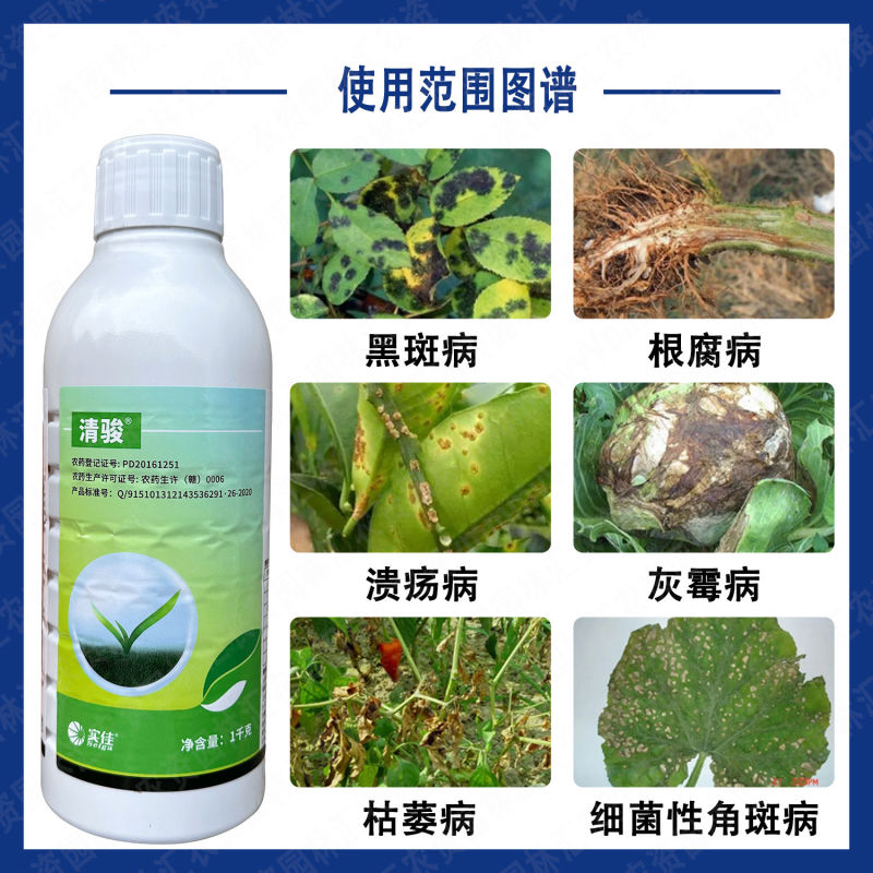 实佳新朝阳5%大蒜素三七川芎根腐病黑斑病枯萎溃疡病细菌性