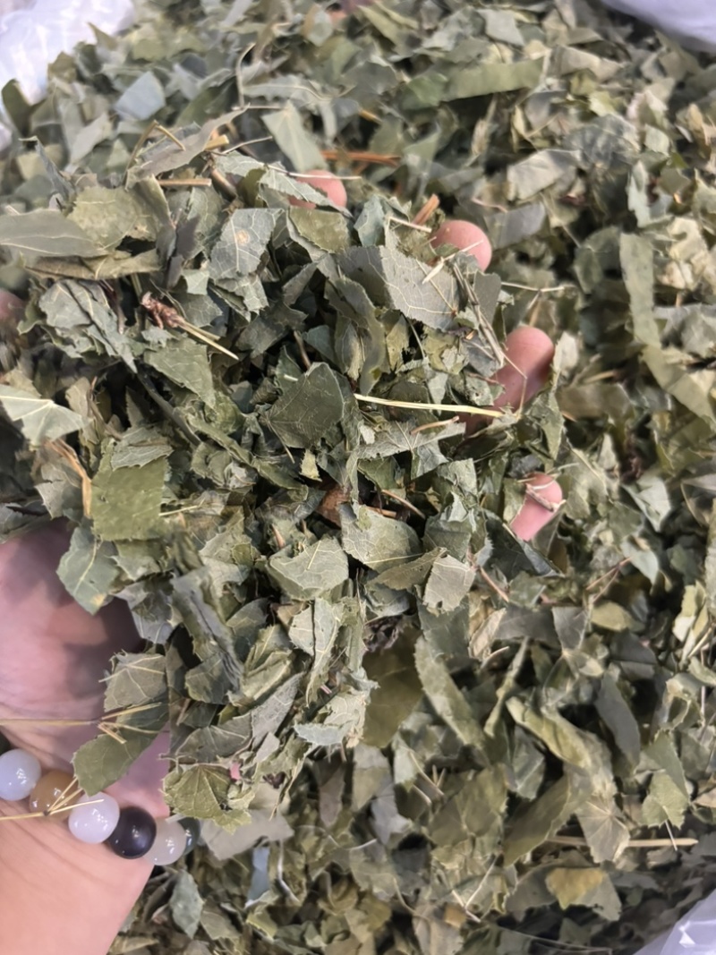 淫羊藿又称仙灵脾主产地甘肃东北四川贵州品种齐全量大从优