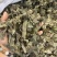 淫羊藿又称仙灵脾主产地甘肃东北四川贵州品种齐全量大从优