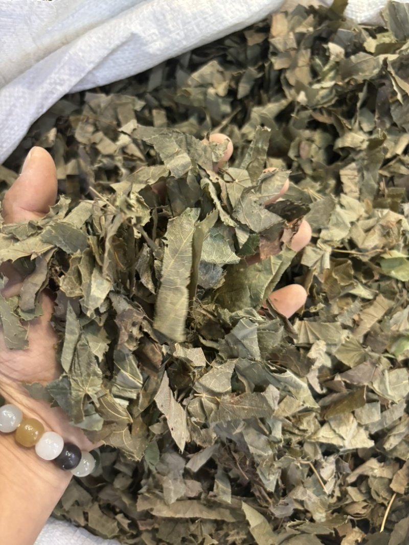 淫羊藿又称仙灵脾主产地甘肃东北四川贵州品种齐全量大从优