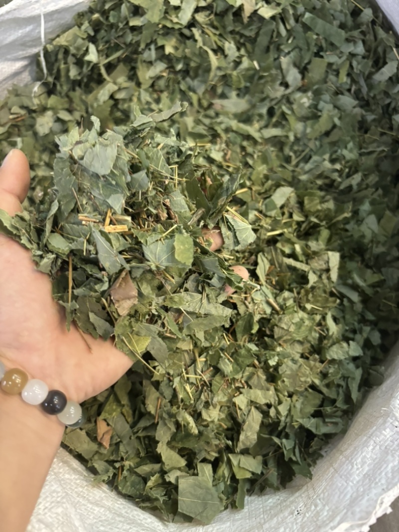 淫羊藿又称仙灵脾主产地甘肃东北四川贵州品种齐全量大从优