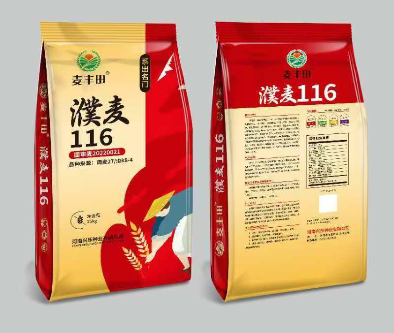 河南小麦种子批发零售，大量现货！随时欢迎咨询！