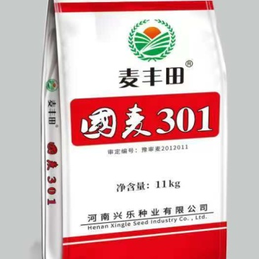 河南地区小麦种子批发零售，仅限河南地区种植！