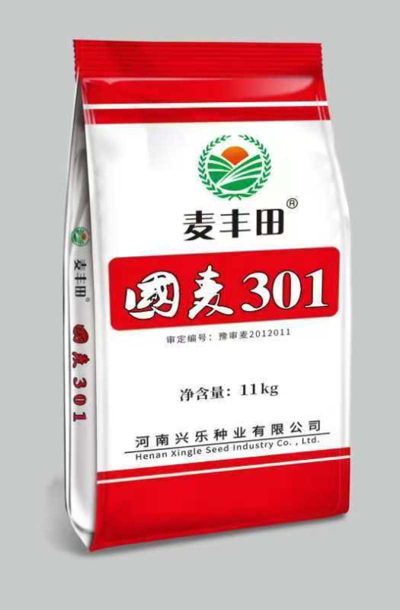 河南地区小麦种子批发零售，仅限河南地区种植！