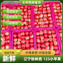 辽宁123小苹果大量上市口感脆甜，颜色红产地直发