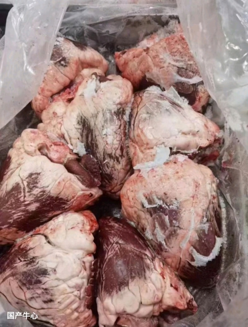 牛心干牛心牛心牛心牛心牛心牛心牛心牛心牛心