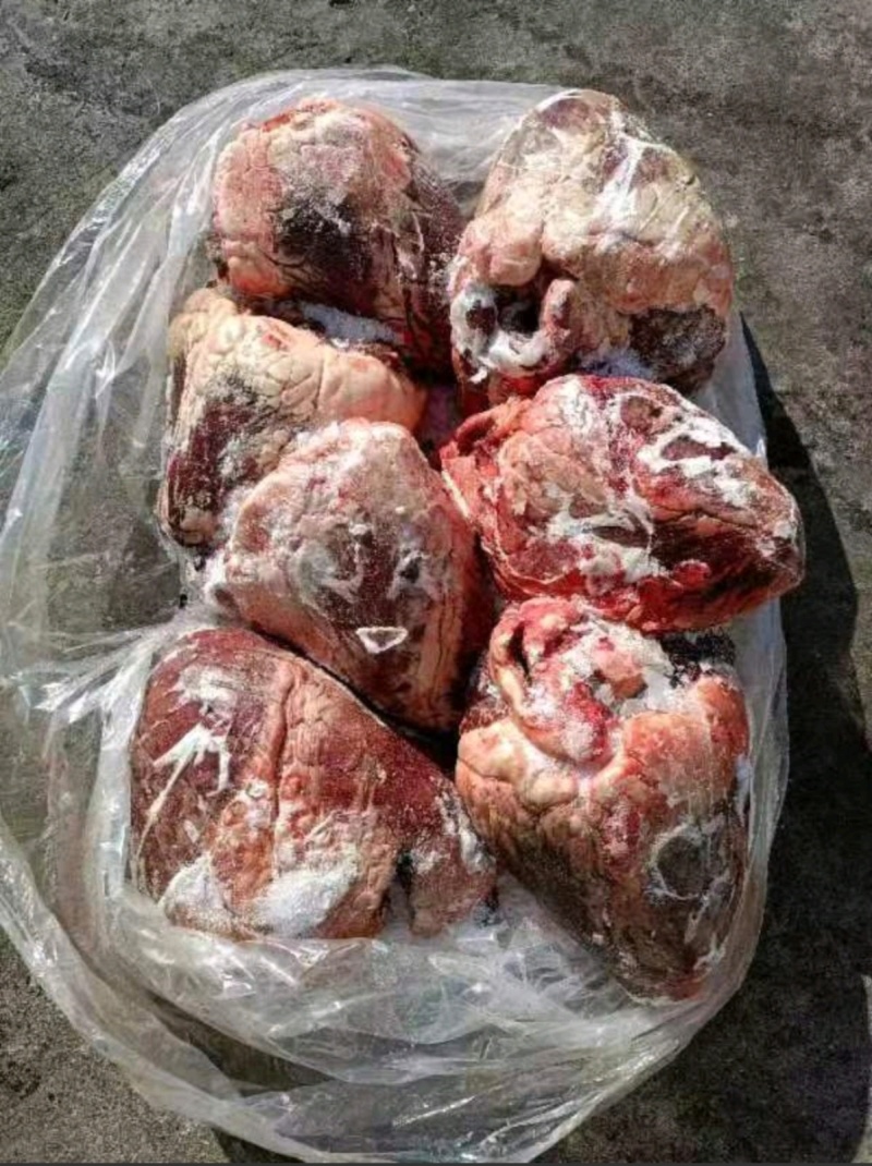 牛心干牛心牛心牛心牛心牛心牛心牛心牛心牛心