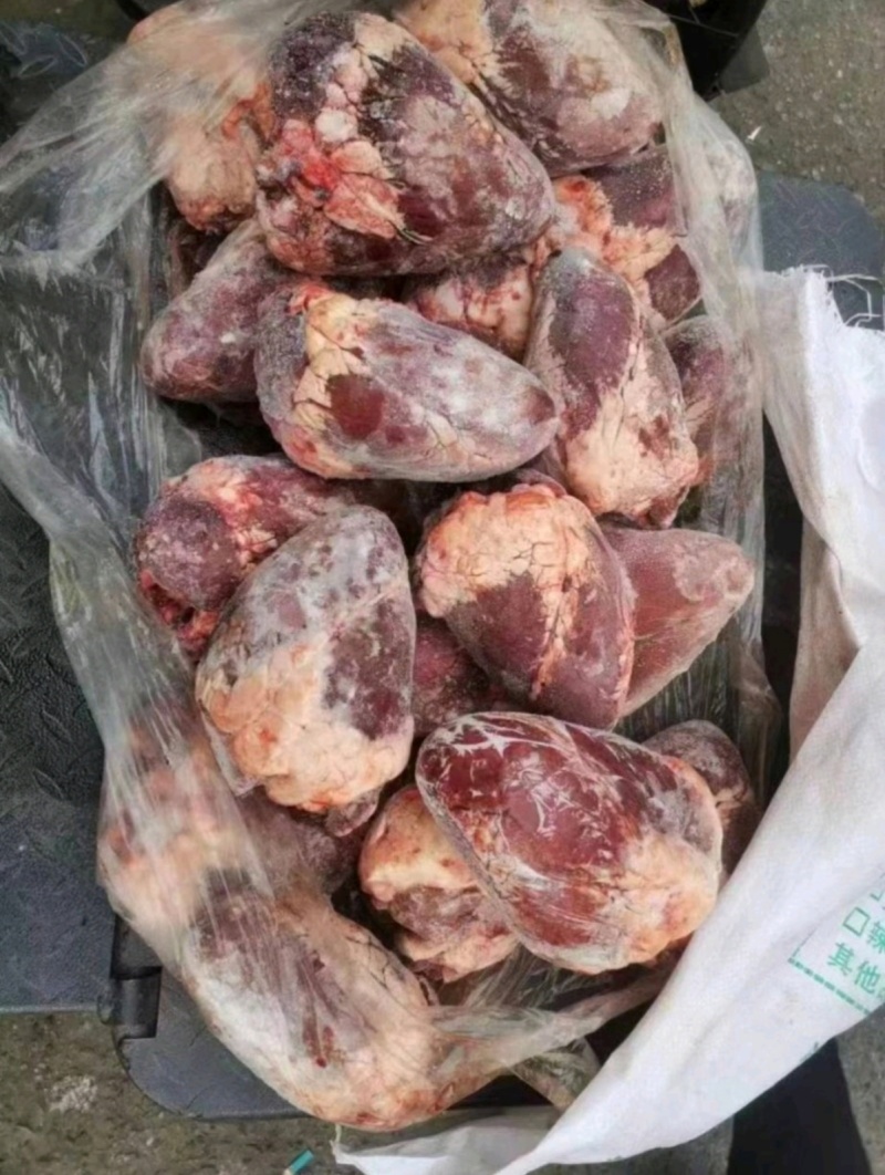 牛心干牛心牛心牛心牛心牛心牛心牛心牛心牛心
