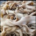 牛小肠八成牛小肠牛小肠牛小肠牛小肠牛小肠