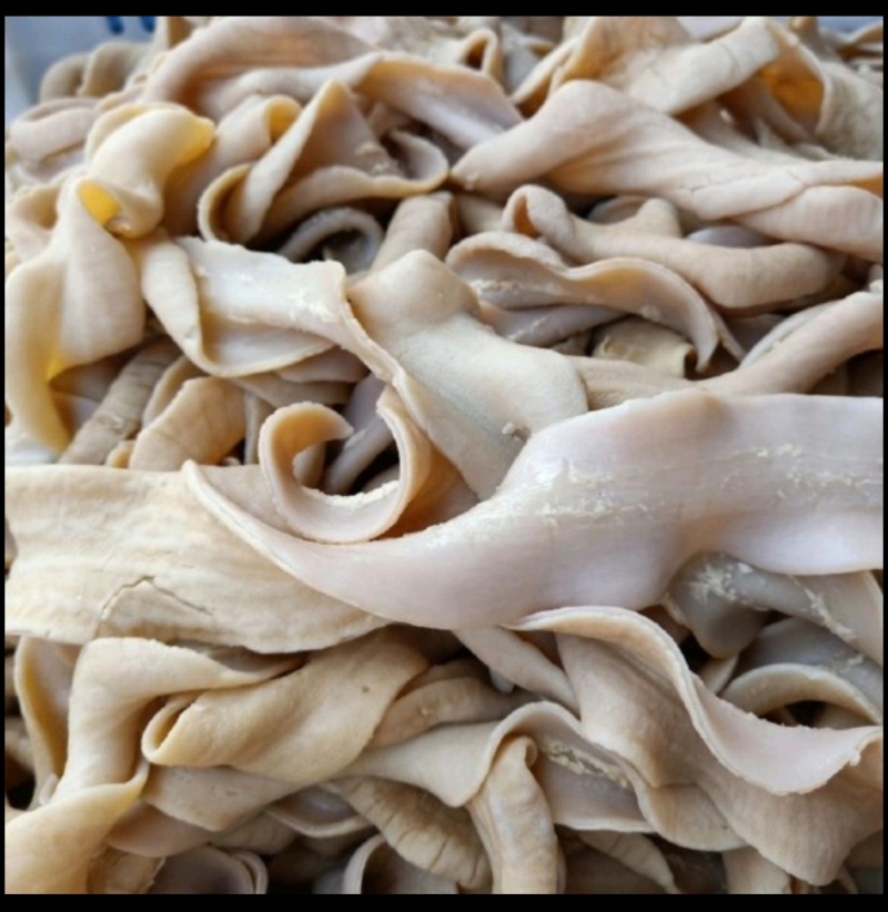 牛小肠八成牛小肠牛小肠牛小肠牛小肠牛小肠