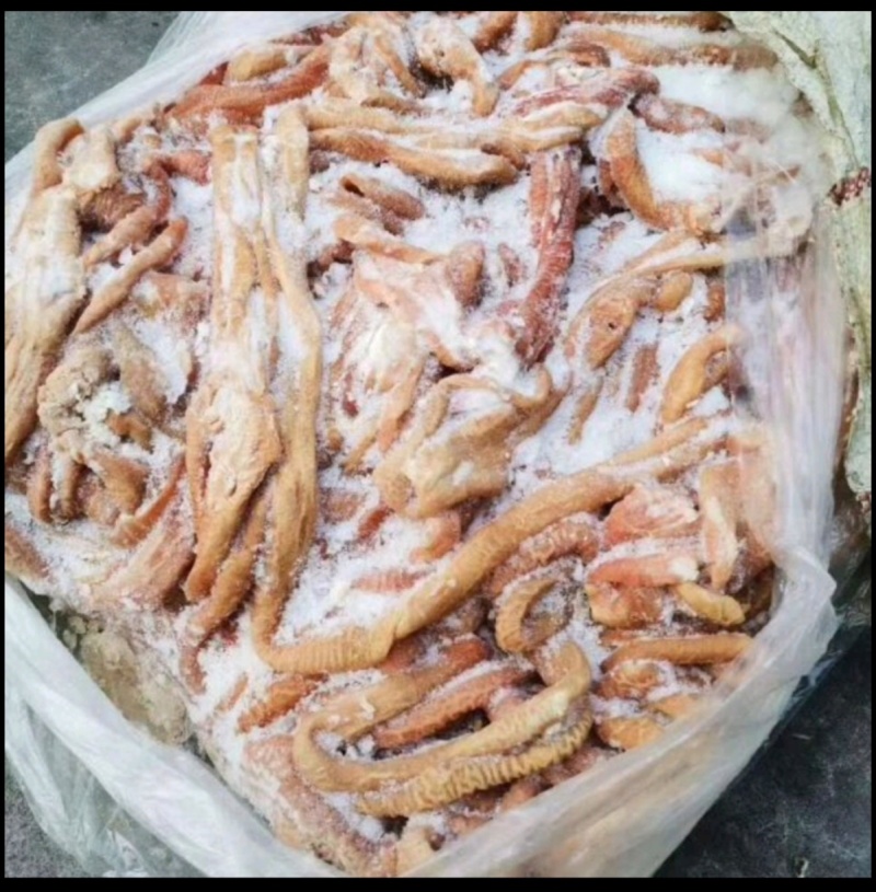 牛小肠八成牛小肠牛小肠牛小肠牛小肠牛小肠