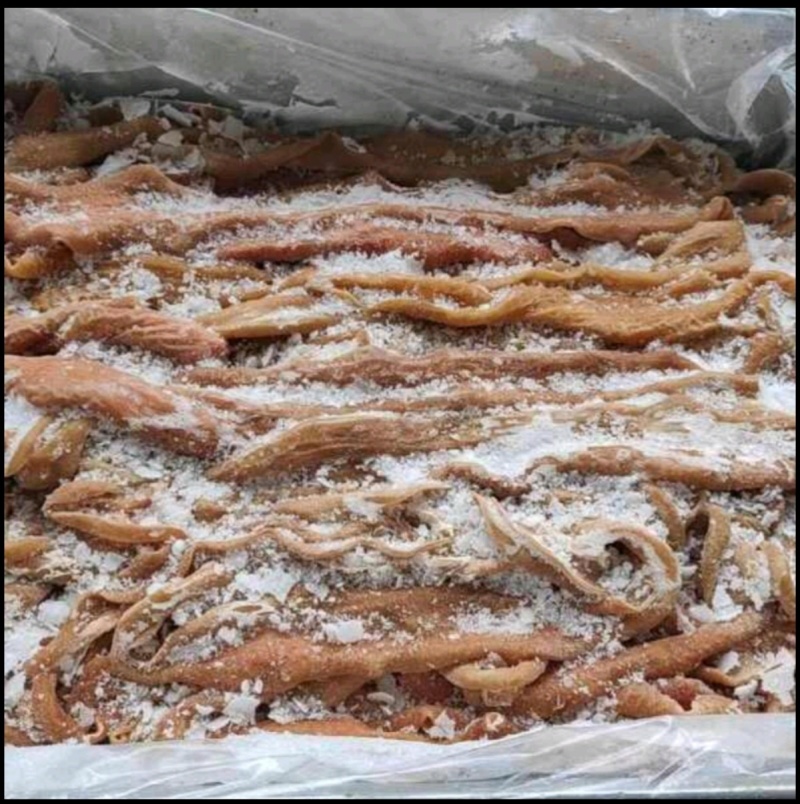牛小肠八成牛小肠牛小肠牛小肠牛小肠牛小肠