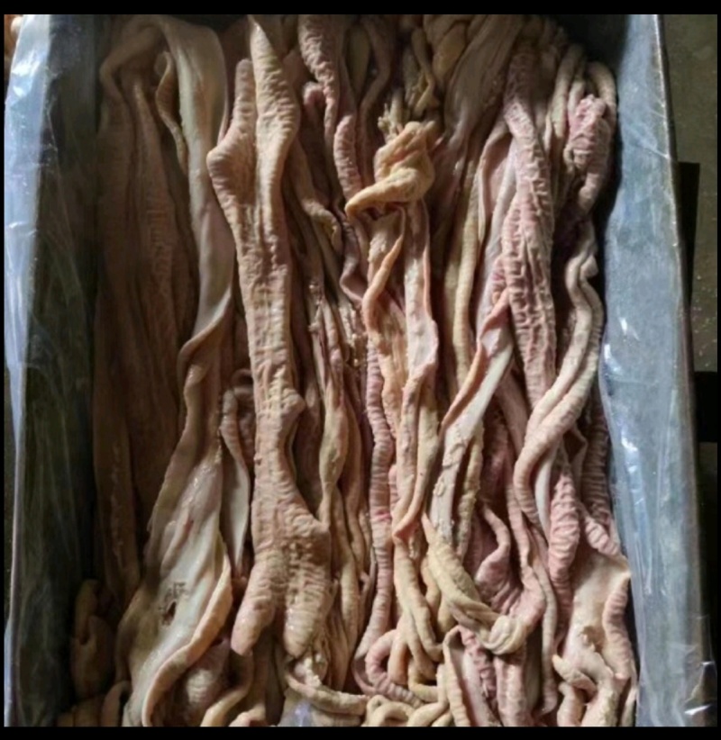 牛小肠八成牛小肠牛小肠牛小肠牛小肠牛小肠