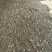 【推荐】广东鸡粪大量货源出售中基地发货