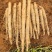 广西山药/白鬼淮山药,本人种植400亩,全国发货,产地价
