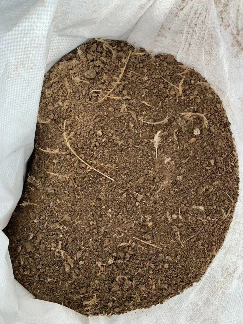 【推荐】广东鸡粪基地发货量大从优价格优惠欢迎电联