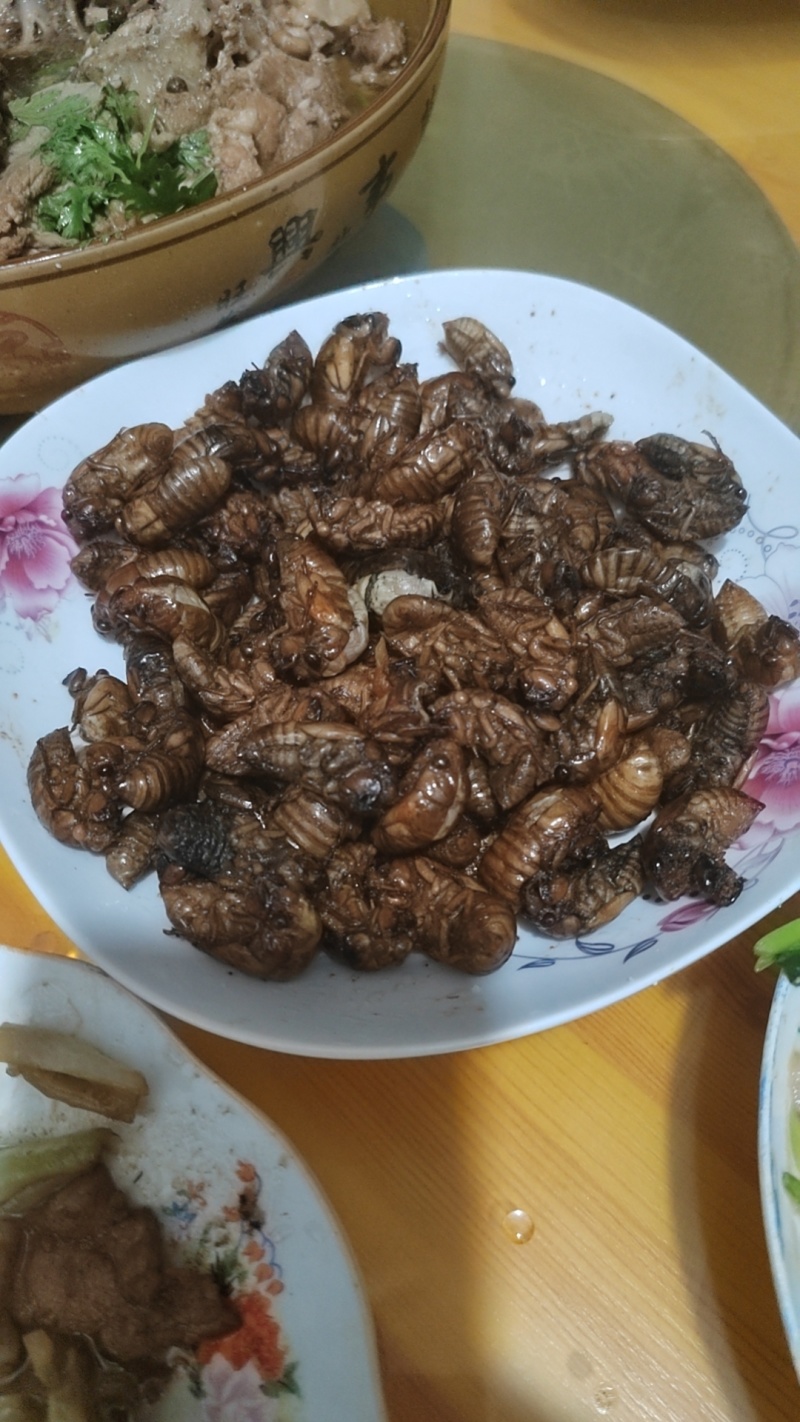 2024香椿树小金蝉。皮薄肉多。京东发货。氨基酸。