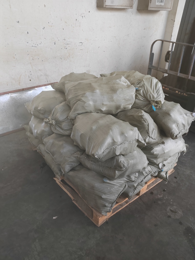 2024香椿树小金蝉。皮薄肉多。京东发货。氨基酸。