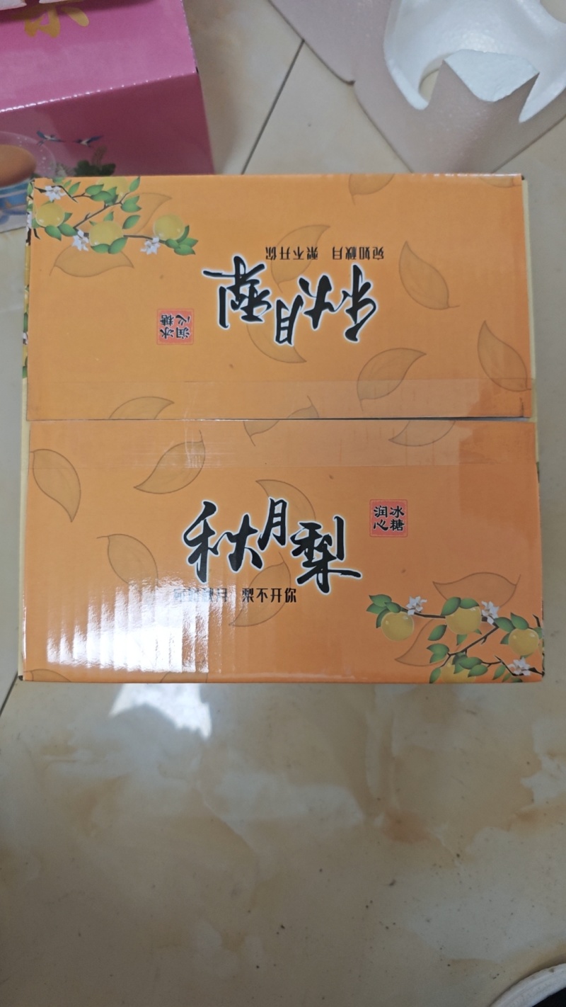 【精品推荐】正宗莱西秋月梨产地直发，脆甜多汁，一件代发