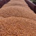 新疆干玉米玉米粒纯净无杂质产地一手货源保质保量欢迎考察