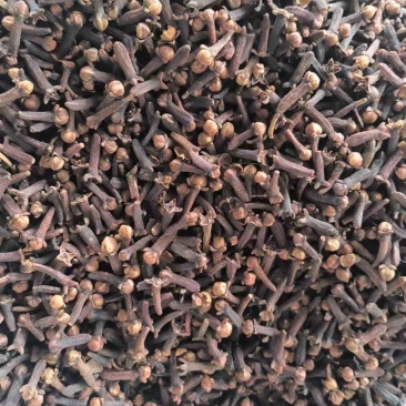 丁香印度尼西亚原装新货上市干净颜色红，大量供应
