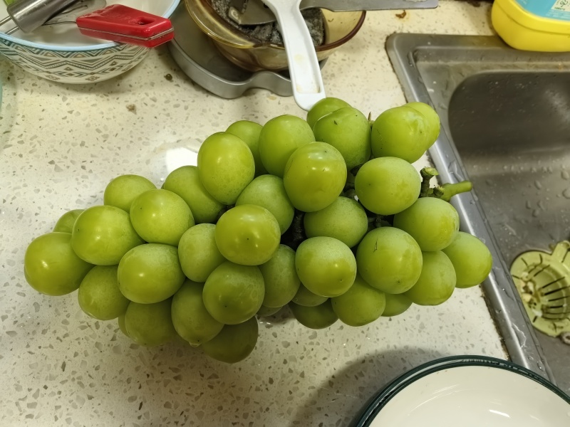 阳光玫瑰
