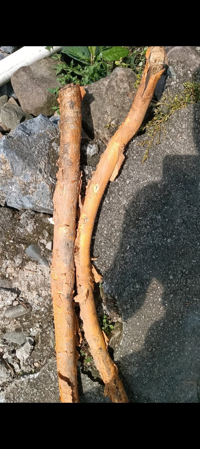 穿破石