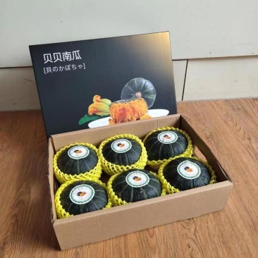 贝贝南瓜，对接社团电商，一件代发，落地配！