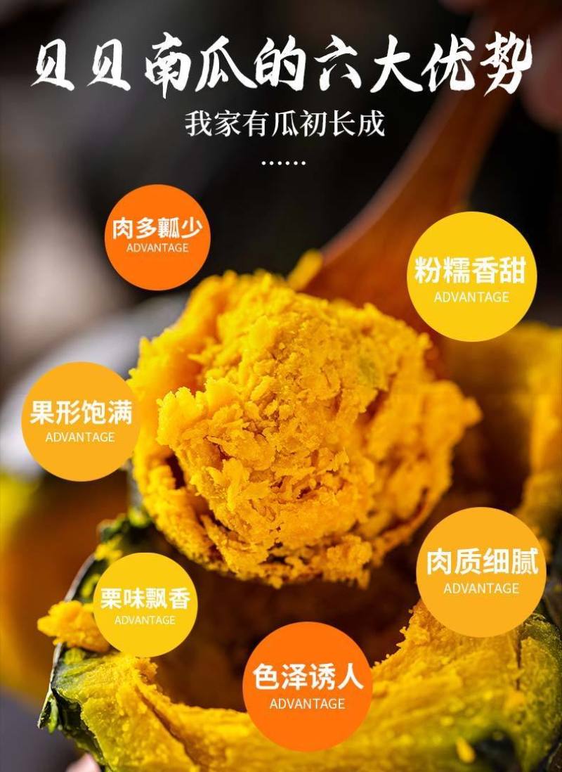 贝贝南瓜，对接社团电商，一件代发，落地配！