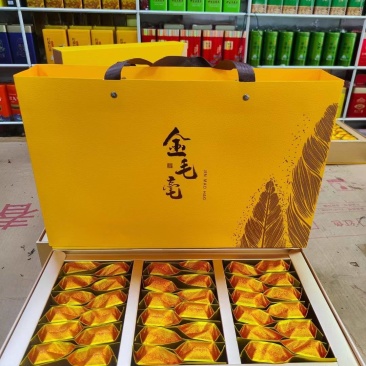 英红九号～金毛毫