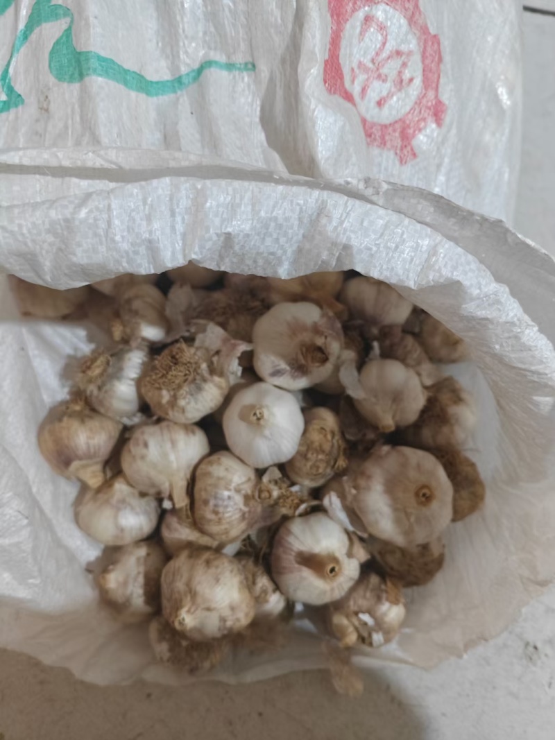 中大个干大蒜，如图，便宜卖，需要的联系，量多可优惠