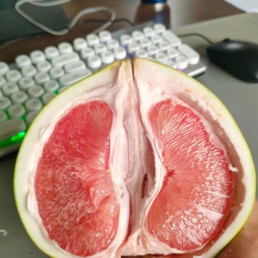 广西三红柚，开始上市了可以对接各地市场，超市
