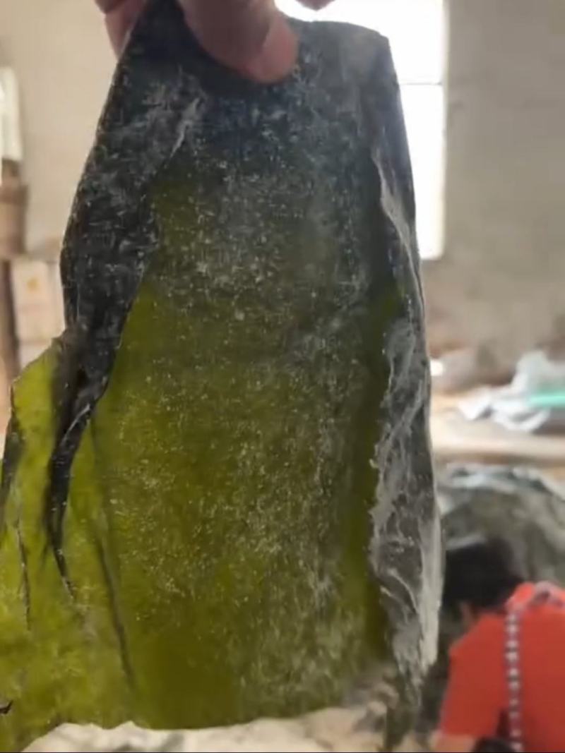 半干海带头盐渍海带头水洗烘干海带头干海带海带头小海带头