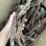 锁阳正品野生锁阳沙漠野生大锁阳道地药材保质保真量大从优