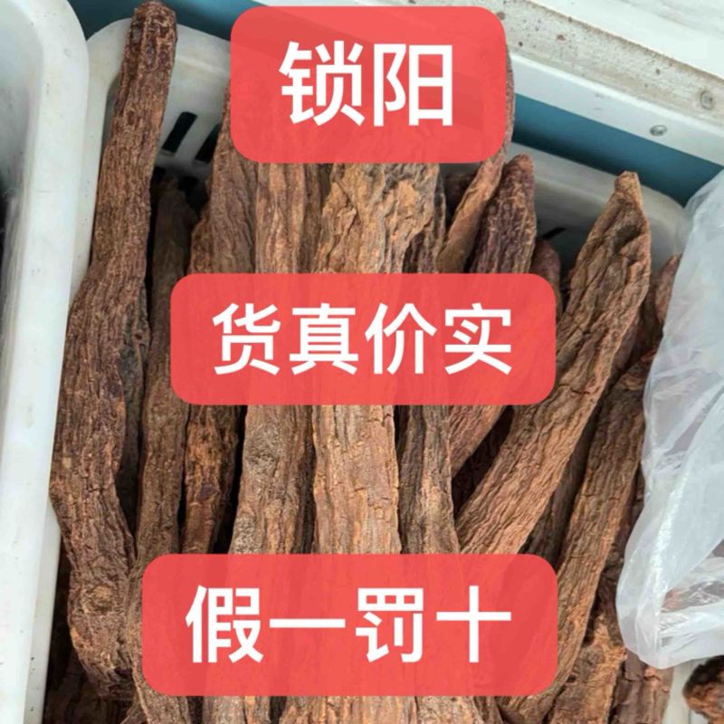 锁阳正品野生锁阳沙漠野生大锁阳道地药材保质保真量大从优