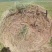 山草170元一捆每捆550斤5000捆需要联系