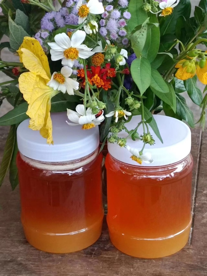 精品蜂蜜百花蜜质量保证量大优惠对接各大市场欢迎来电订购