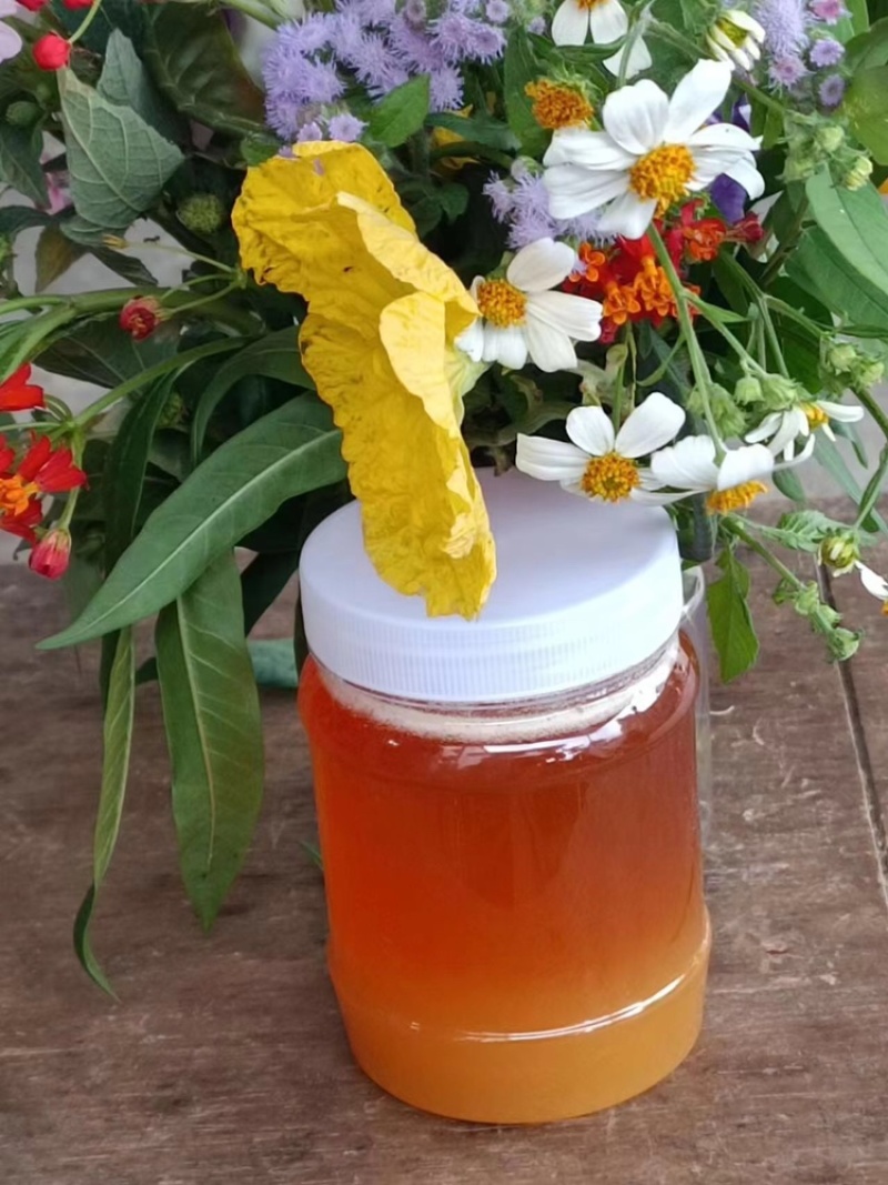 精品蜂蜜百花蜜质量保证量大优惠对接各大市场欢迎来电订购