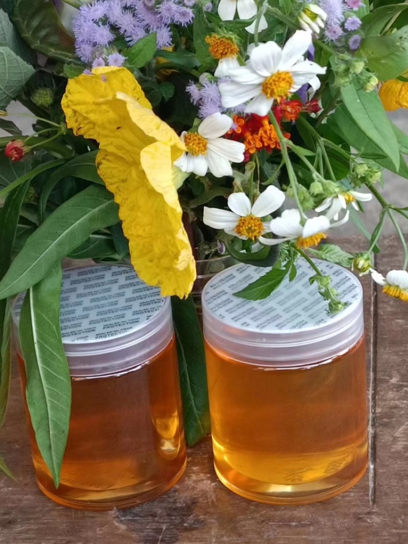 精品蜂蜜百花蜜质量保证量大优惠对接各大市场欢迎来电订购