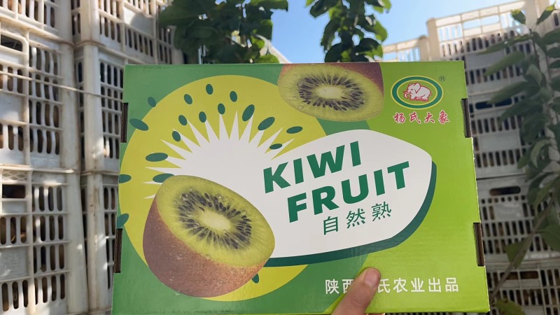 全品类猕猴桃正在发货