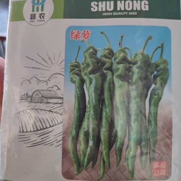 无限生长型陇椒长度35-40公分大果型螺旋度好