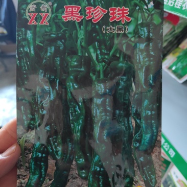 大黑皱皮个头大颜色黑