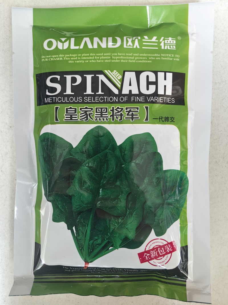 **黑将军菠菜种子黑圆叶红根菠菜春秋播耐寒越冬蔬菜种子籽