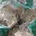 鳖甲，生鳖甲，炒鳖甲，各种规格，干净无肉